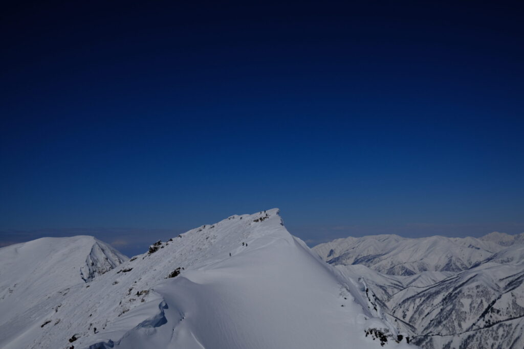 トマの耳から見たオキの耳