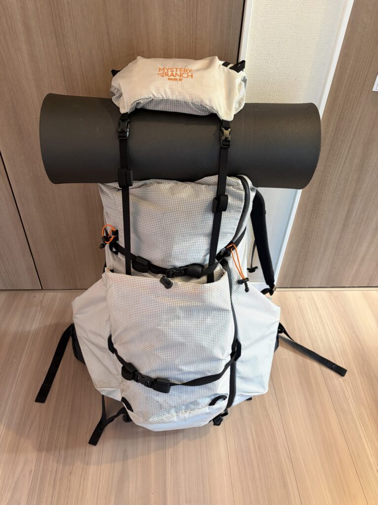 レイデックス57